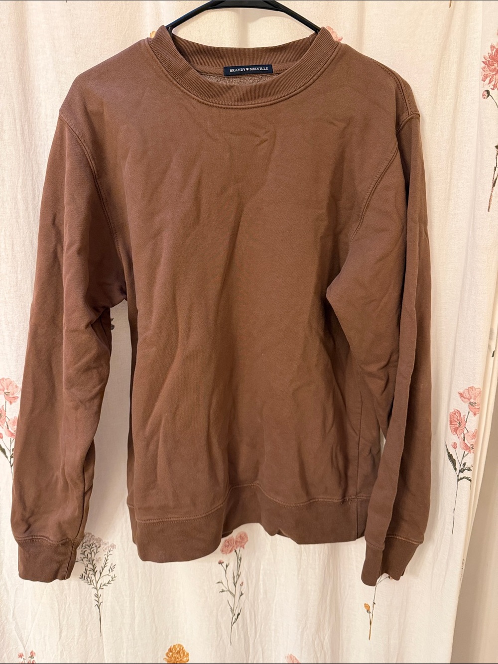 Brandy Melville Brown Crewneck Sweatshirt